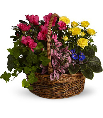 Blooming Garden Basket